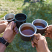 GB Tea cheers