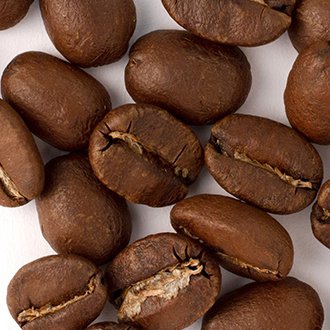 Honduras Finco El Pino Organic